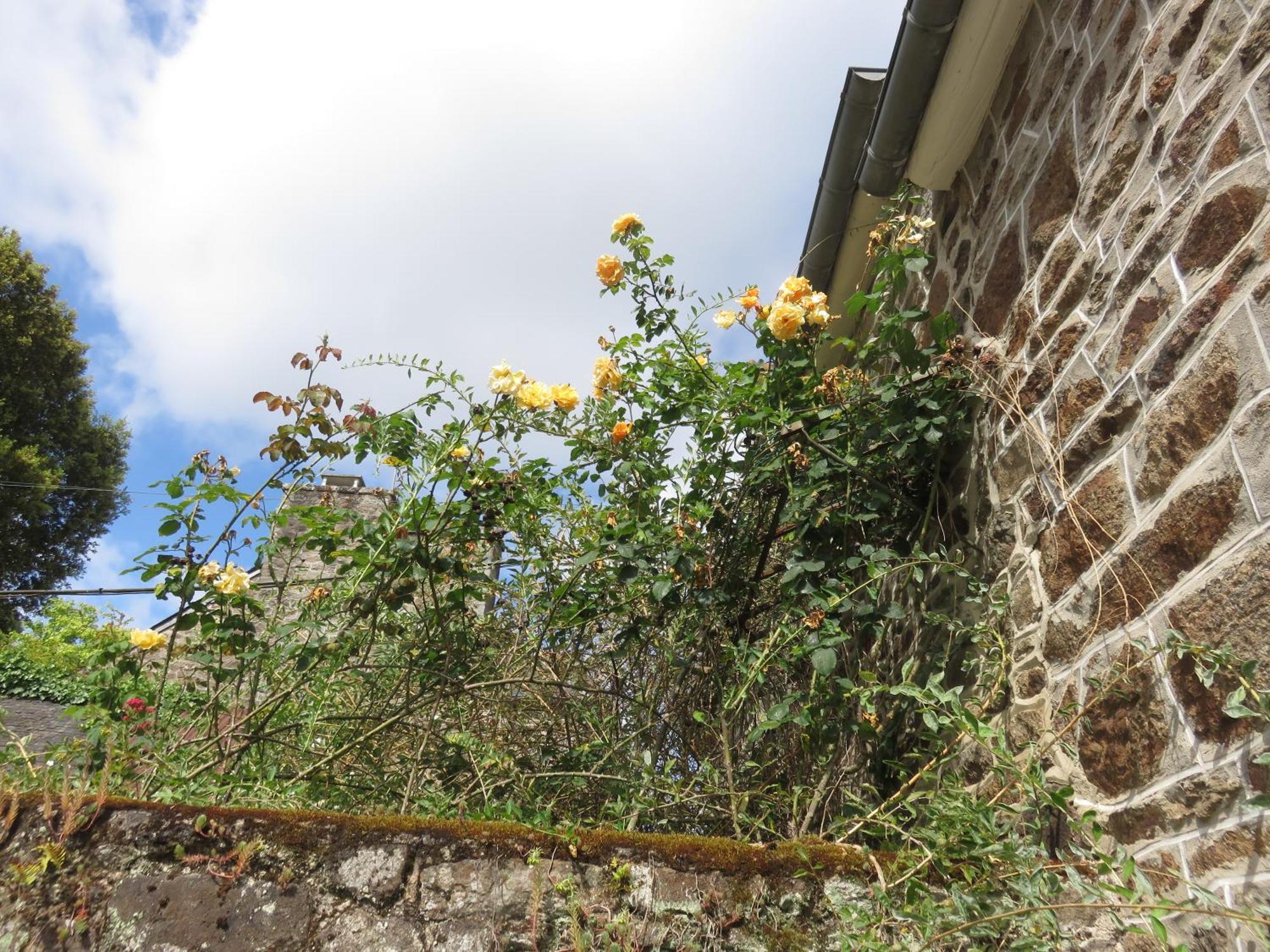 مبيت وإفطار Pleudihen-sur-Rance Le Jardin A Mordreuc المظهر الخارجي الصورة
